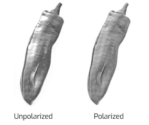 polarized-vegetable